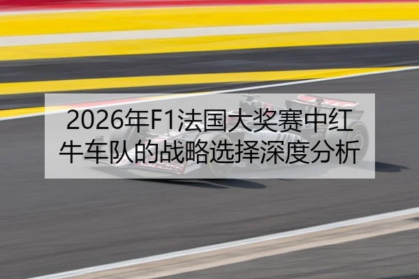2026年F1法国大奖赛中红牛车队的战略选择深度分析
