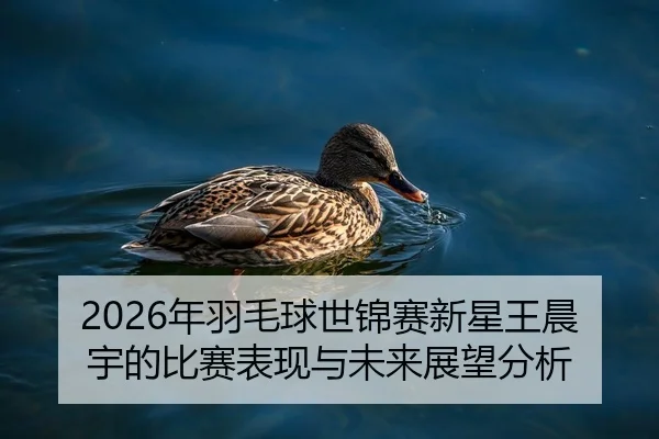 2026年羽毛球世锦赛新星王晨宇的比赛表现与未来展望分析