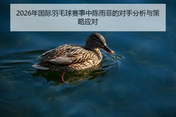 2026年国际羽毛球赛事中陈雨菲的对手分析与策略应对
